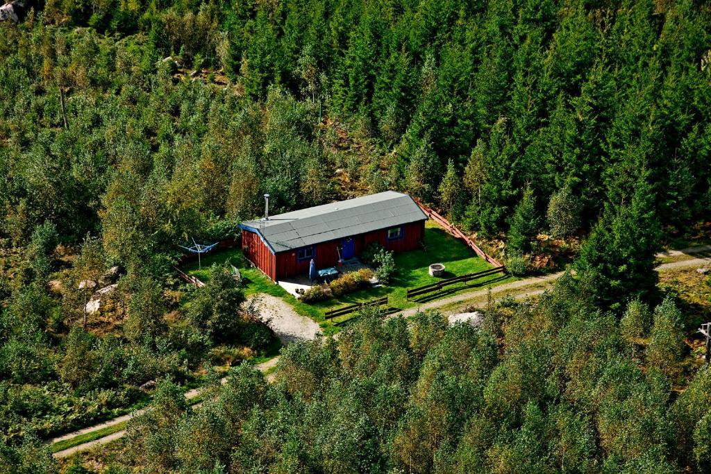 Timjan Forest Resort Nydala Luaran gambar